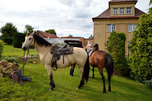 Vila Kateřina - image 5