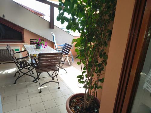 Terrazza M & G, Ortona (foto 5)