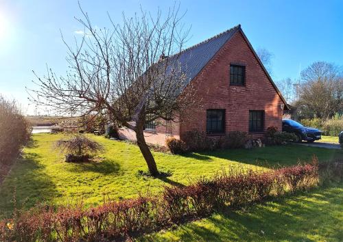 Ferienhaus Helserdeich - Urlaub zwischen Brunsbüttel und Friedrichskoog in Helse, Deutschland