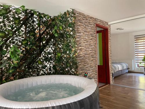 อ่างแช่น้ำร้อน, No1 Vendeghaz in ปารัด