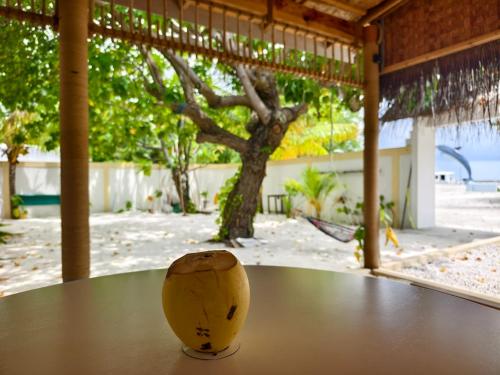 Jardín, Mirusmaa Inn in Meemu Atoll