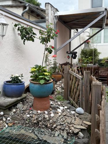 Kert, Gemütliche Ferienwohnung (Gemutliche Ferienwohnung) in Linz am Rhein