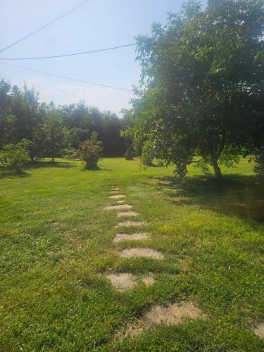 Pensiunea Dealul Leahului in Putna