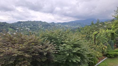 Sameba House, Khuts'ubani (photo 5)