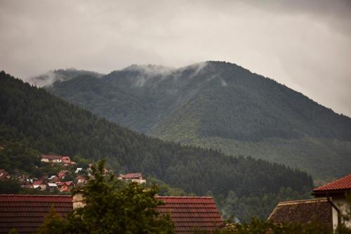 Cekan Family Guest House in Gura Raului