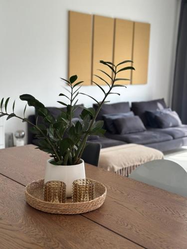 Domum gîte à louer De Wateringen