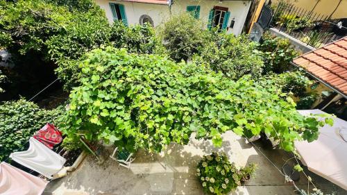 Sublime T3 havre de paix rénové climatisé Parking (Sublime T3 havre de paix renove climatise Parking) in Mantega