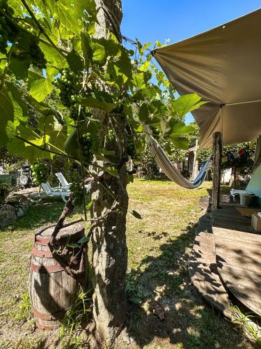 Aed, Pilgrims Rest - Vila Nova de Cerveira - Hostel - Albergue - AL in Vila Nova de Cerveira