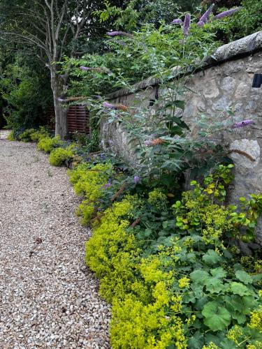 Quaint self contained cottage near Edinburgh. in Lasswade