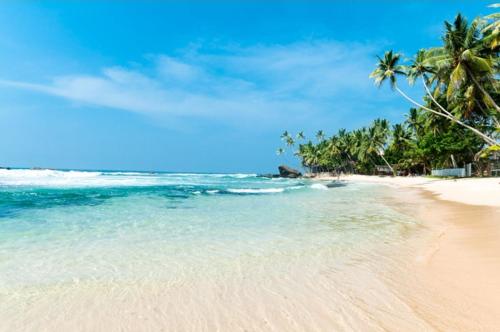 Roman Residence - Unawatuna