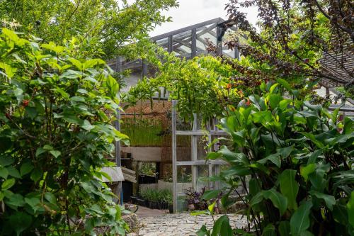 Tinyhouse Hexagonal in Organic Farm in Morelinho