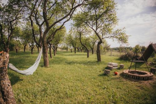 Aed, Śliwkowy Sad-Plum Orchard-Jura (Sliwkowy Sad-Plum Orchard-Jura) in Bobolice