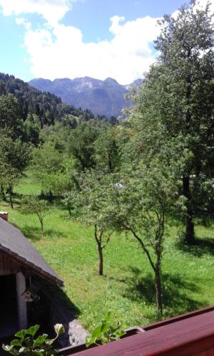Apartment Korosec Matej in Srednja Vas V Bohinju