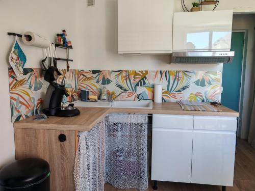 Studio LE CLEMARION - SUPERDEVOLUY, Le Dévoluy (foto 6)