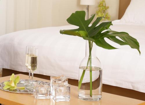 Chloe Luxury Hotel - image 14