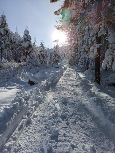 Ania Wynajem Pokoi, Zakopane (fotografie 10)