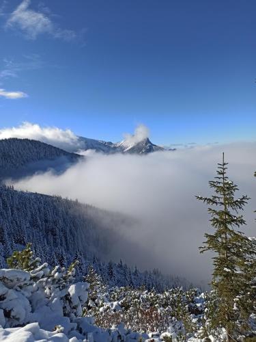Ania Wynajem Pokoi, Zakopane (fotografie 8)
