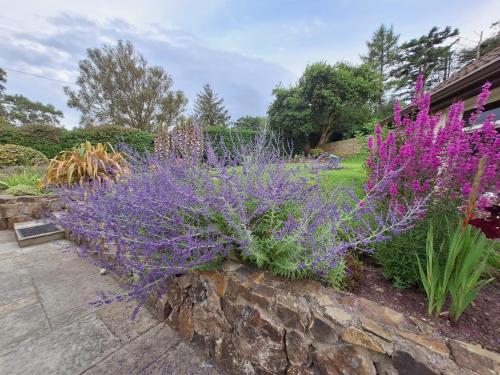 Garden, Tullydish in Enniskerry