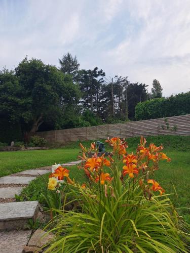 Garden, Tullydish in Enniskerry