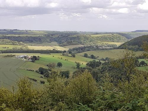 外部景觀, Hillcrest Cottage in 哈克內斯