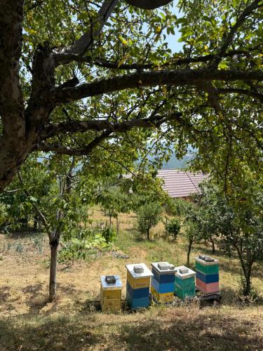 Villa Liri in Suva Reka