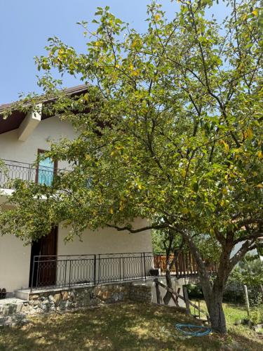 Villa Liri in Suva Reka