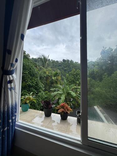Seetha Homestay Kandy in ماهاويلي ريفر فرونت