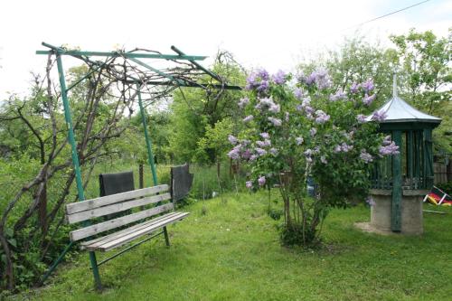 Sadiba Pri Dorogi - image 7