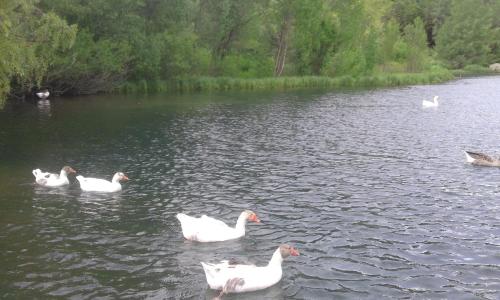 Jermuk Verona Resort