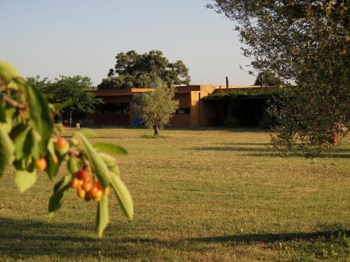 Hotel Fundació L'Olivar