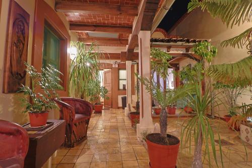حديقة, Hotel El Zaguan Historico in سان كرستوبال ديلاس كاساس