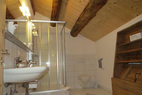 Gasthaus & Hotel Berninahaus, Pontresina (zdjęcie 7)