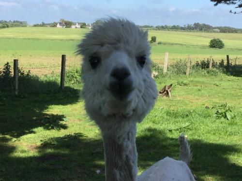 Sandhill House in Troon