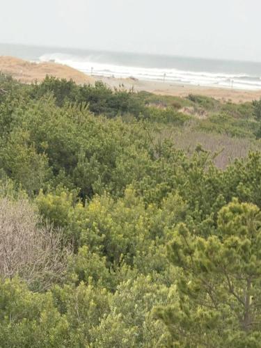 Coratel Inn Ocean Shores Extended Stay - 전망