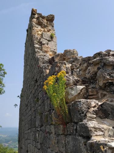 PAULAGITE de 2 a 4 pers, vue sur la Dordogne, proche de Padirac et Rocamadour in Gintrac