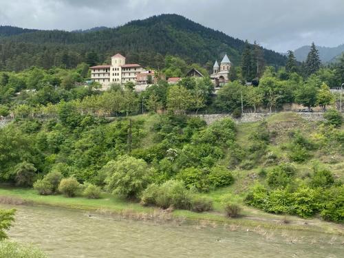 Квартира с видом на горы, Borjomi (foto 3)