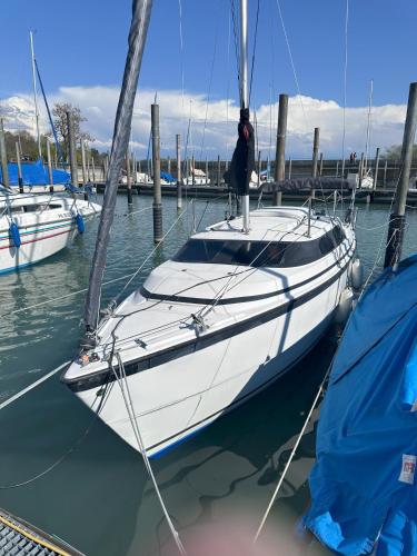 Floating Home - Übernachten auf einer Segelyacht im Hafen, Friedrichshafen (fotografie 10)