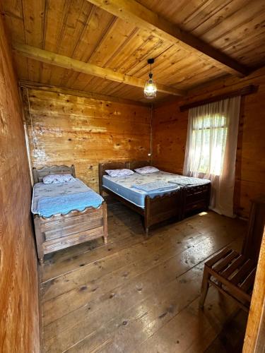 Green Azure - მწვანე ლაჟვარდი in 克瓦里亞提