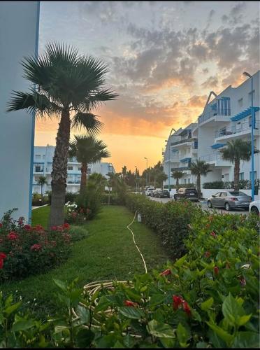 Garden, Riviera Beach in Cabo Negro