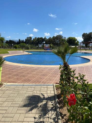 Swimming pool, Riviera Beach in Cabo Negro