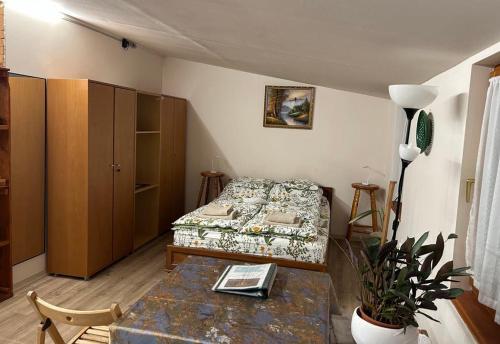 Nyárfa Vendégház - Location saisonnière - Debrecen