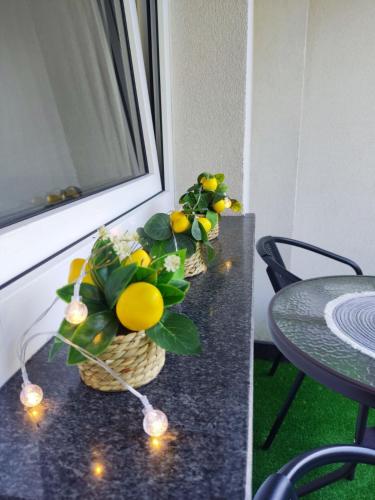 Apartman Kasic 2 in 科尼茨