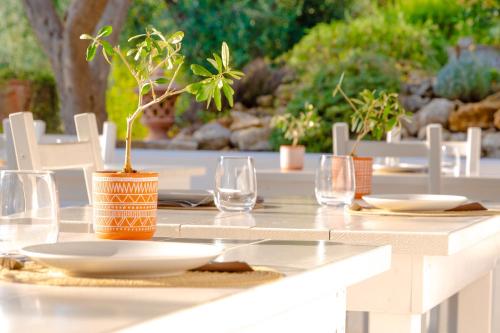 Shanti Home 3