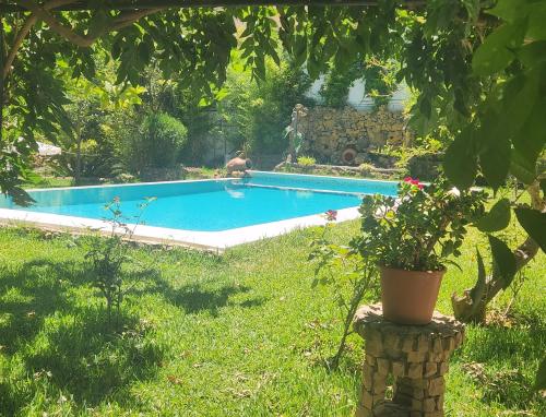 Cocon Paradisiaque - Villa avec Piscine et Hammam à Alger