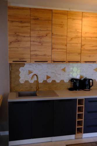 virtuve, Tatrzańska Wiosna Apartament (Tatrzanska Wiosna Apartament) in Slodički