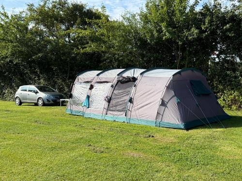 Dancamps Trelde Naes (Camp Site) in Trelde