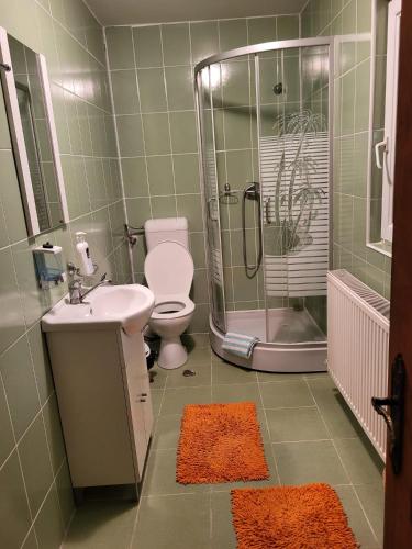 Vannas istaba, Casa Nadia in Voineasa