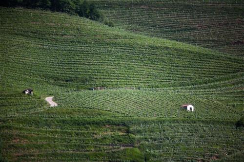 Domaine Mourguy 여행 추천 - 로드트립