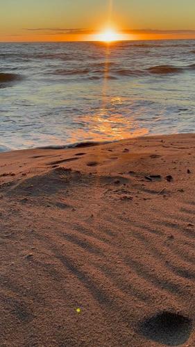 Vieira Mar jorlandia in Majorlandia