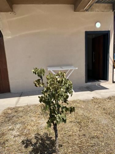 Classic Apartment Ohrid 2 in فوسكا